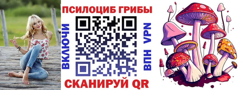где купить   Белинский  Псилоцибиновые грибы Psilocybine cubensis 